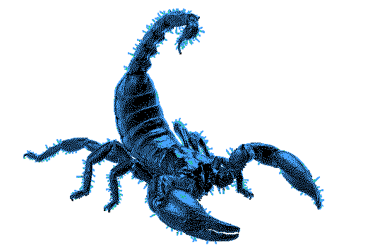 scorpionright